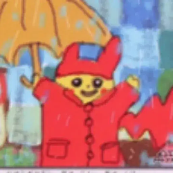 Raincoat
