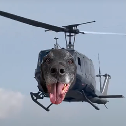 Helidog