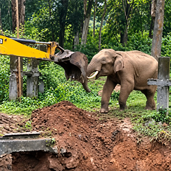 EXCAVATOR