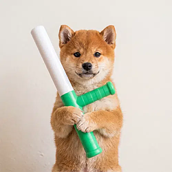 BATON / SOL
