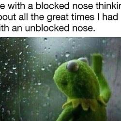 KERMIT
