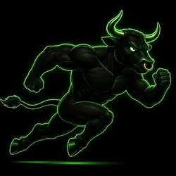 BULLRUN