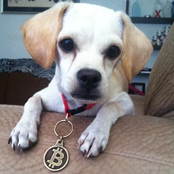 bPUP