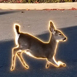 LowRideer / SOL