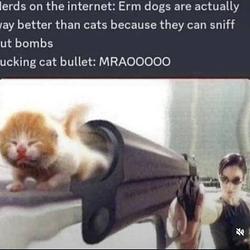 MRAOOOOO