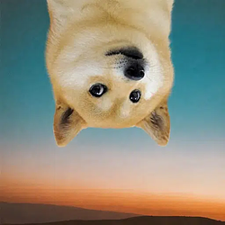 flipped