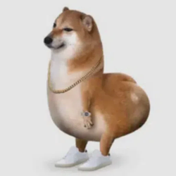 SI