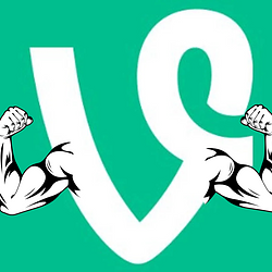 Vineee1