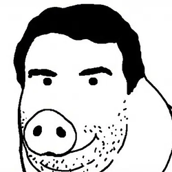 BOAR / NVDAx