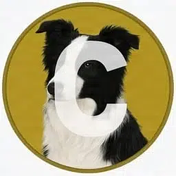 COLLIE