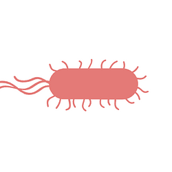 MICROBE