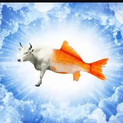 Bullish