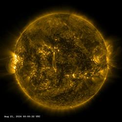AR14513