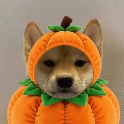 Pumpkinu