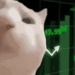 STONKITTY