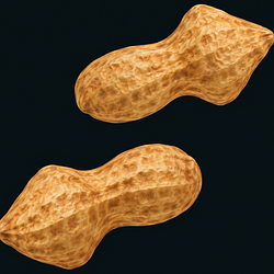 NUTZ