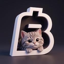 BAGSPAYCAT