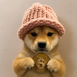 WIFCOIN