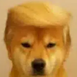 trumpinu / SOL