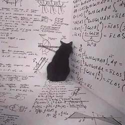 ThesisCat / SOL