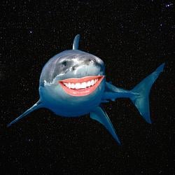 happyshark