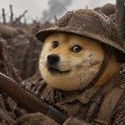 INU TRENCH