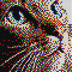 CATEXEL