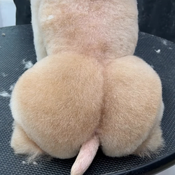 DWBD