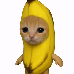 bananacat / SOL