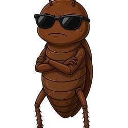ROACH