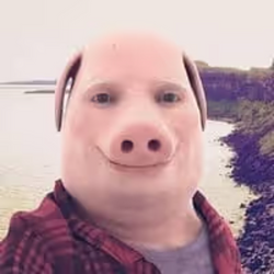 JPORK / WETH
