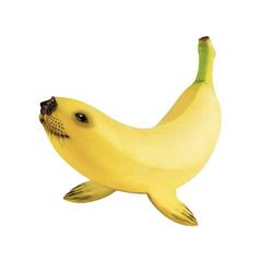 Sealana