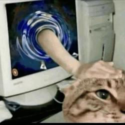 PET YOUR PET