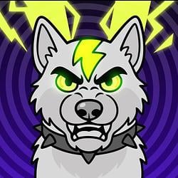 $VDOGE