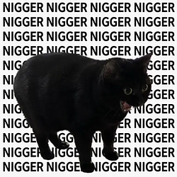 NIGGER / SOL