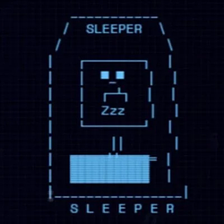 sleeper