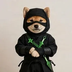 Startpup