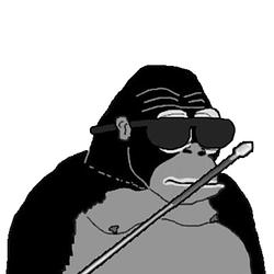 blindape / SOL