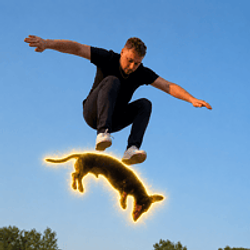 SKATEDOG / SOL