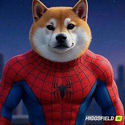 SPIDERNU