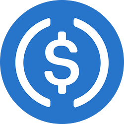 USDCsol logo