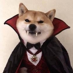 VAMPINU