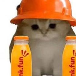 BONKCAT