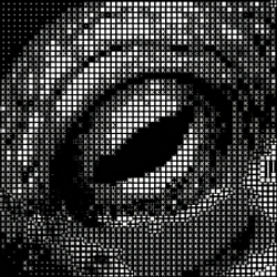 Octo Proto