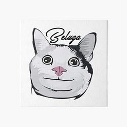 BELUGA