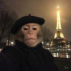 PAARISNIGGA