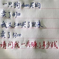 事后诸葛 / SOL