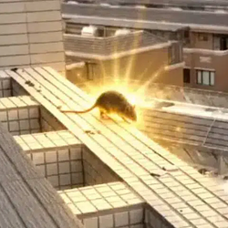 launchrat