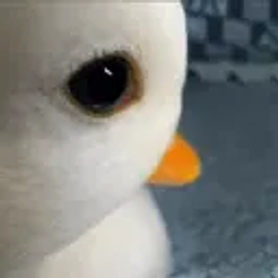 DAFUAN / SOL