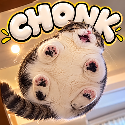 CHONK